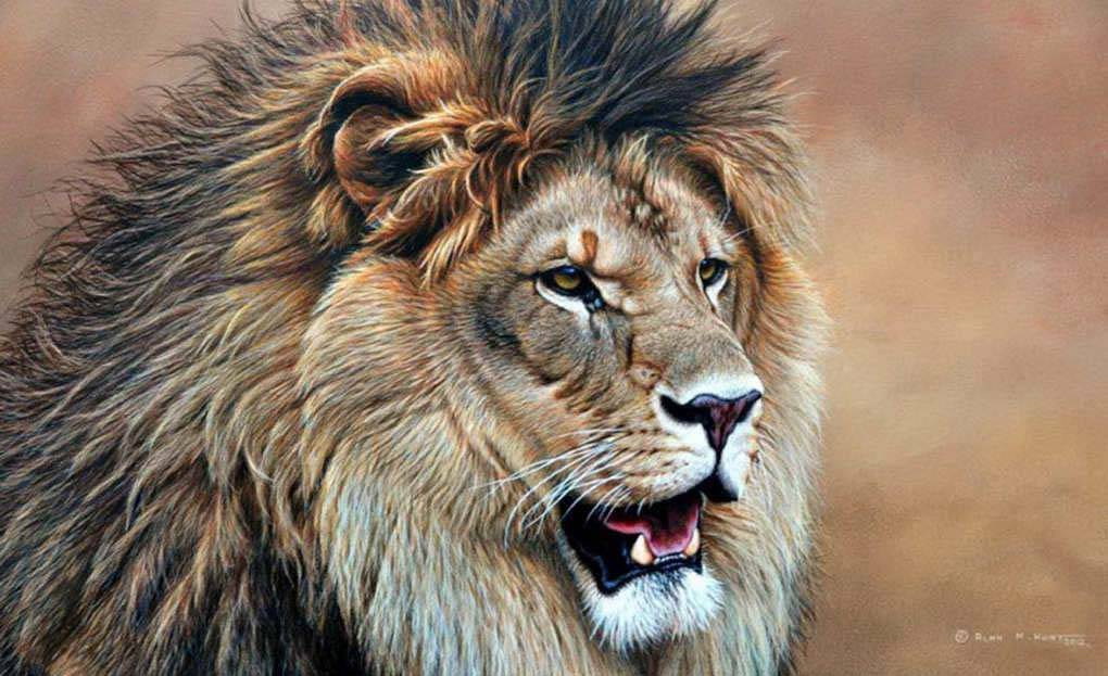 Фотообои Лев-король зверей